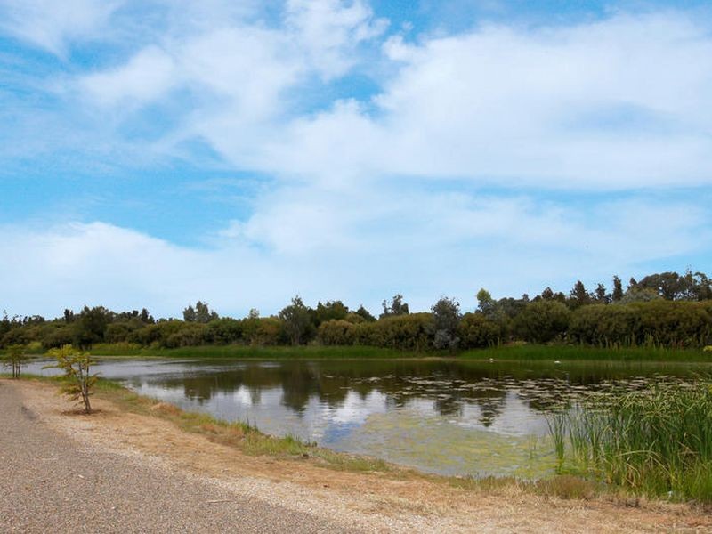 104 Sanctuary Drive, Mawson Lakes SA 5095