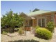 20 Seventh Avenue, St Peters SA 5069
