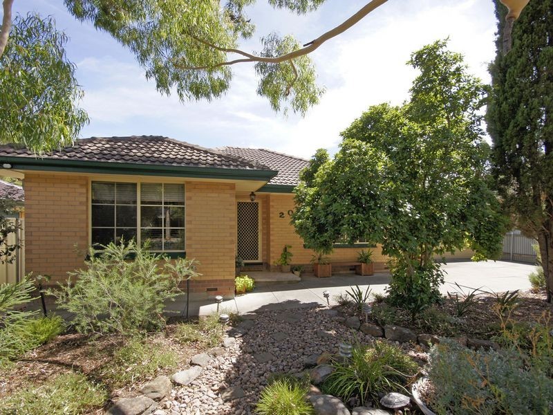 20 Gorman Street, Modbury SA 5092