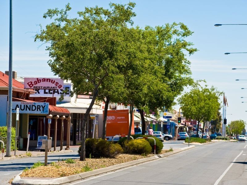 31 Vine Street, Prospect SA 5082