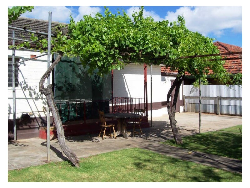 7 Barnes Road, Glynde SA 5070