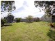 31 Gwynne Street, Firle SA 5070