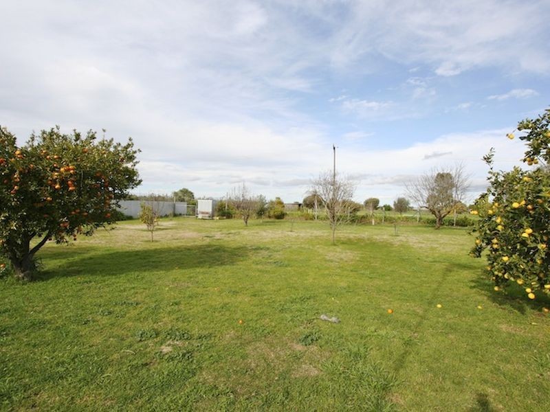 146 Dawkins Road, Lewiston SA 5501