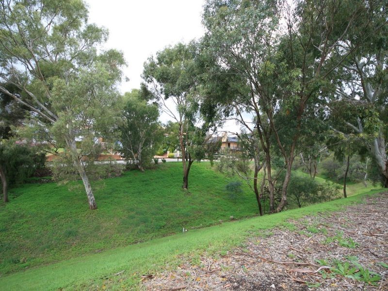 1 Schubert Court, Rosslyn Park SA 5072