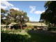 51 Gleneagles Road, Mount Osmond SA 5064