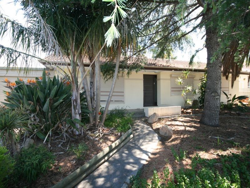 42 Gaelic Avenue, Holden Hill SA 5088