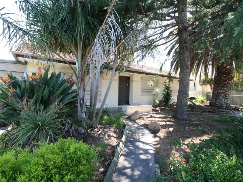 42 Gaelic Avenue, Holden Hill SA 5088