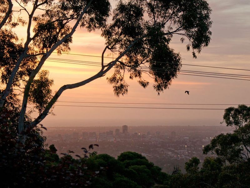 20 Bishop Street, Skye SA 5072