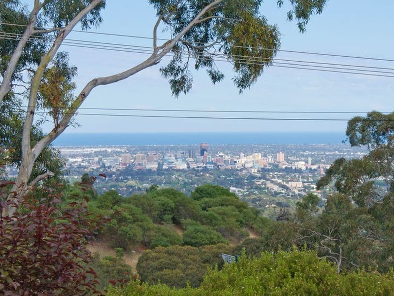 20 Bishop Street, Skye SA 5072