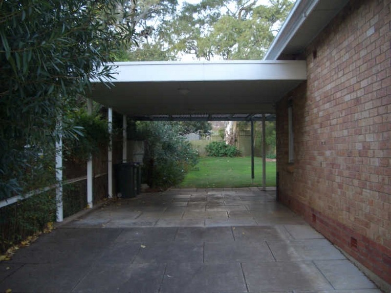 6 Brigalow Avenue, Kensington Gardens SA 5068