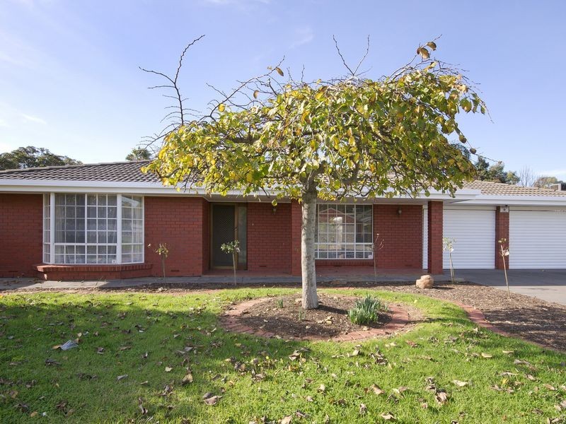 20 Parkwood Grove, Paradise SA 5075