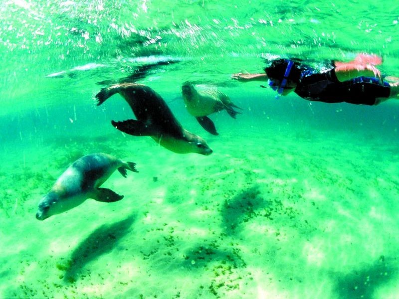 The Sands, Marion Bay SA 5575