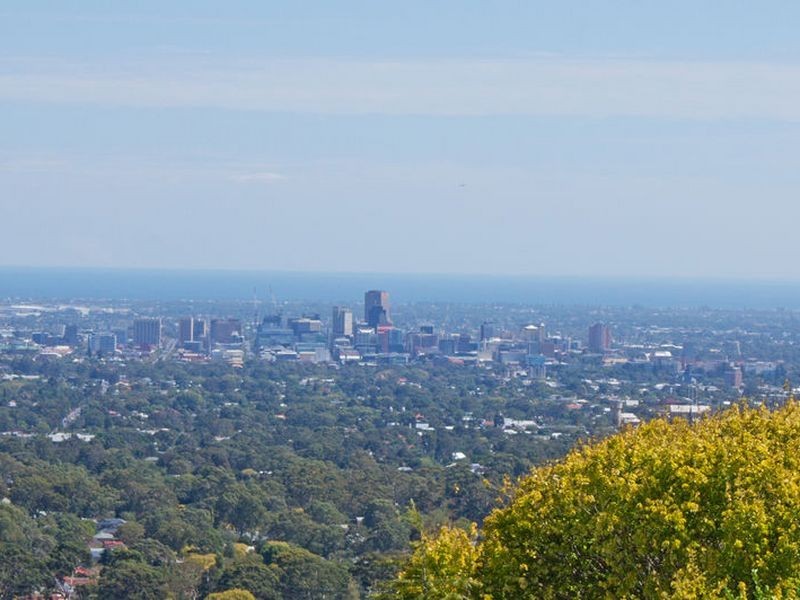 49 Coach Road, Skye SA 5072