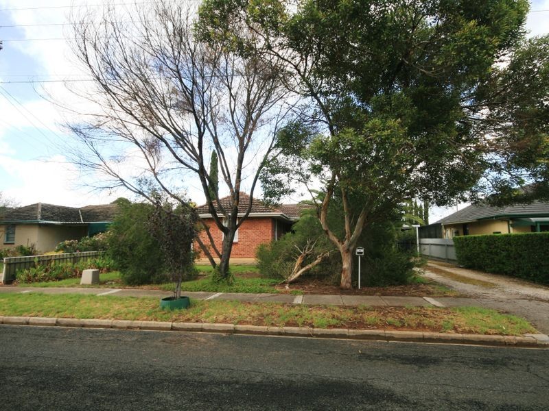 58 Mayfield Avenue, Hectorville SA 5073