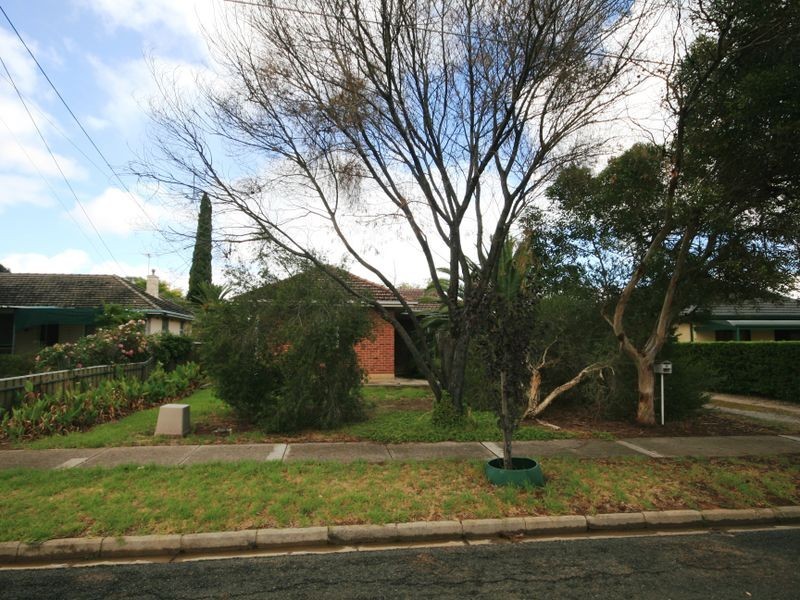 58 Mayfield Avenue, Hectorville SA 5073