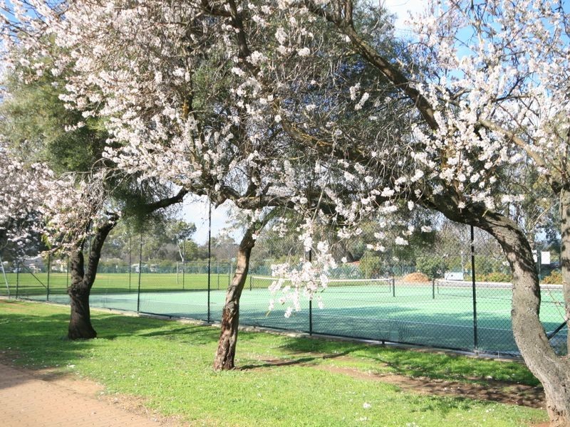 2/2 Philip Place, Vale Park SA 5081