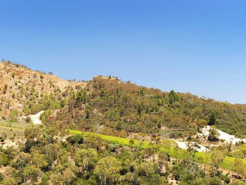 28 Clark Street, Stonyfell SA 5066