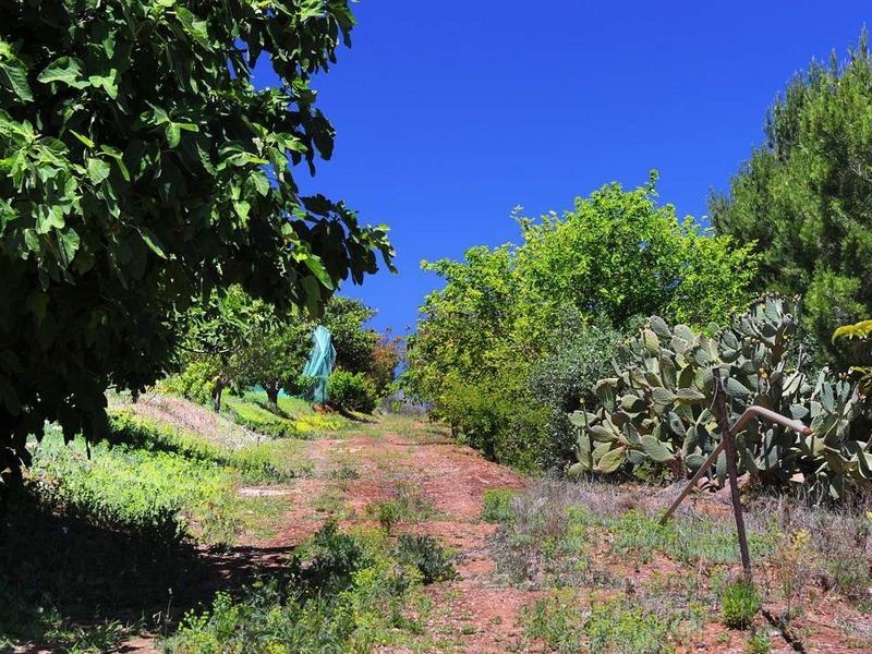 28 Clark Street, Stonyfell SA 5066