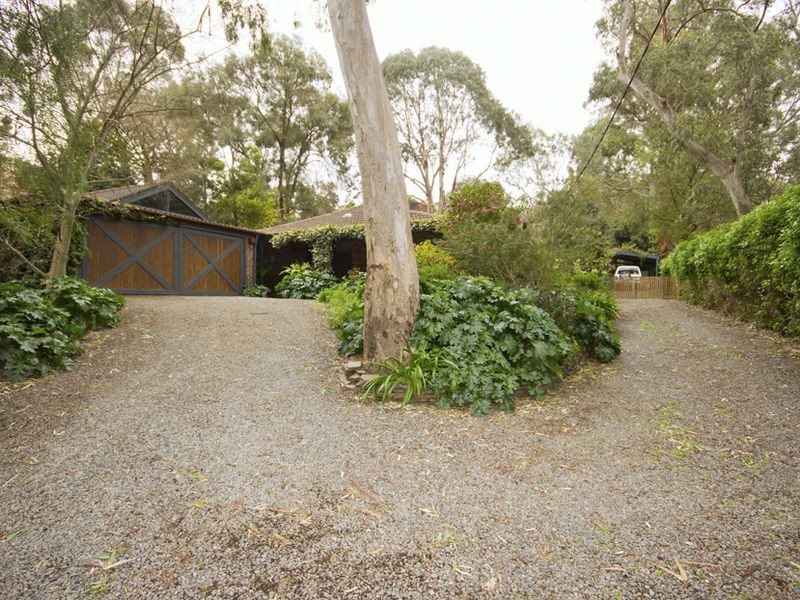 11 Redgum Drive, Belair SA 5052