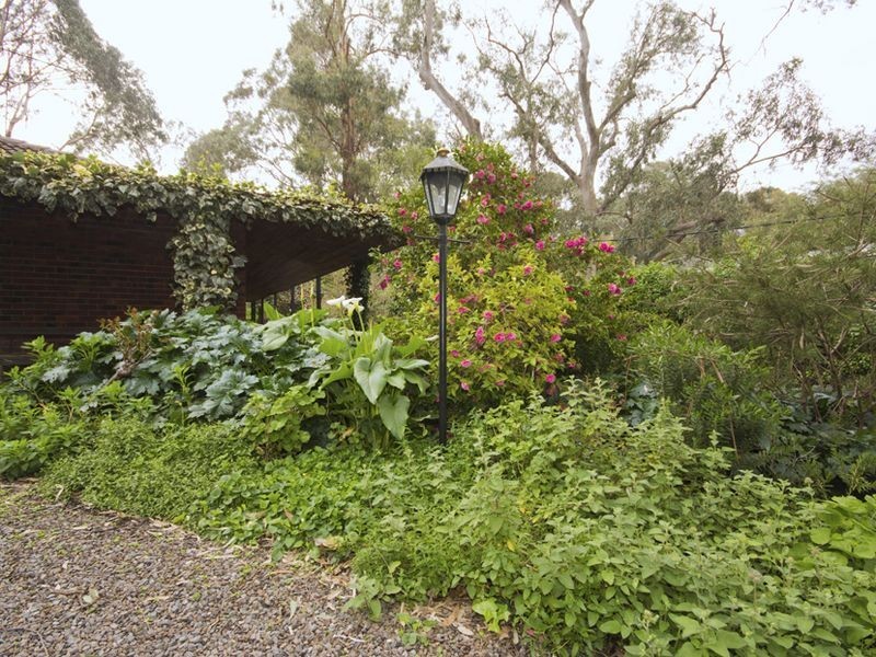 11 Redgum Drive, Belair SA 5052