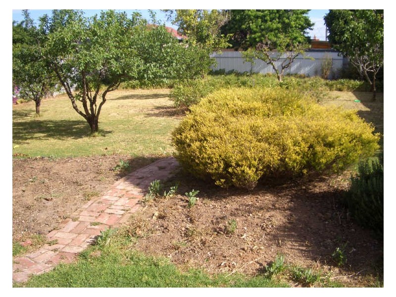 19 Edgeworth Street, Prospect SA 5082