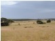 Lot 70 Flour Cask Bay Road, Cygnet River SA 5223