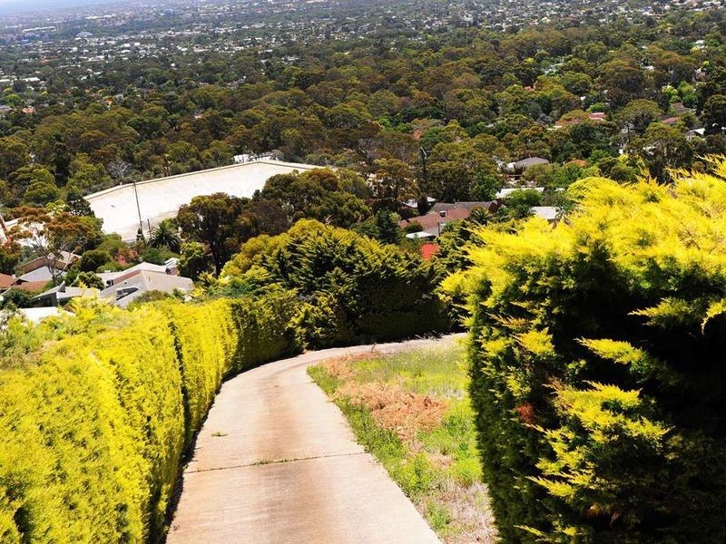 28 Clark Street, Stonyfell SA 5066