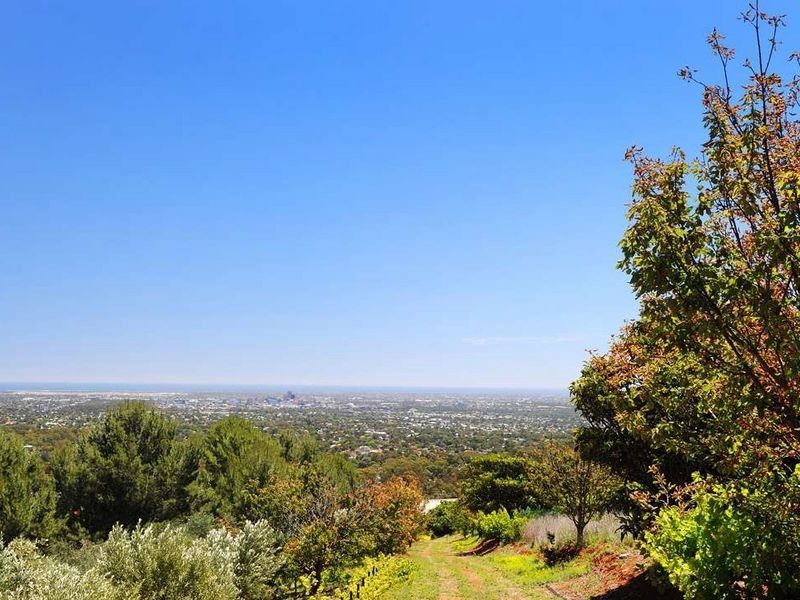 28 Clark Street, Stonyfell SA 5066