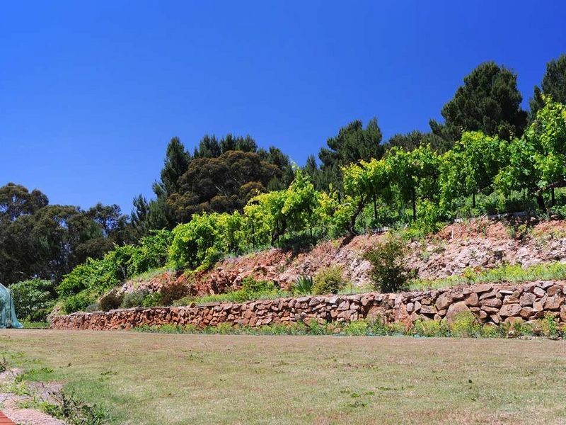 28 Clark Street, Stonyfell SA 5066