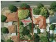 38 Dashwood Road, Beaumont SA 5066