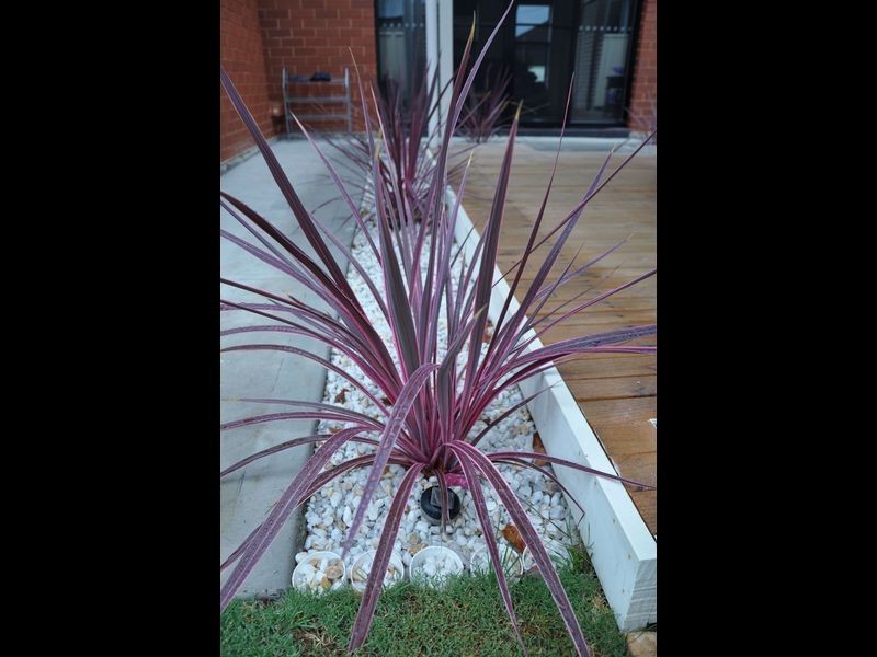 55A Robert Avenue, Broadview SA 5083