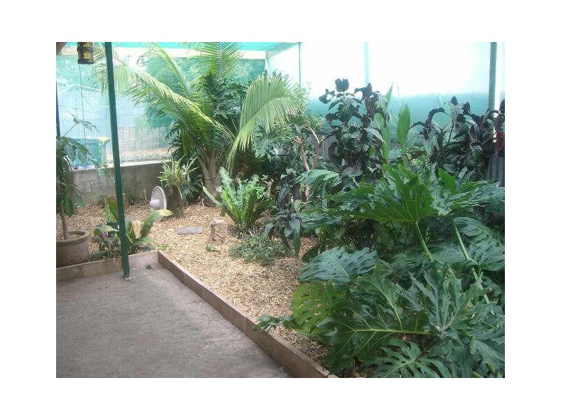 5 Jenny Avenue, Dernancourt SA 5075