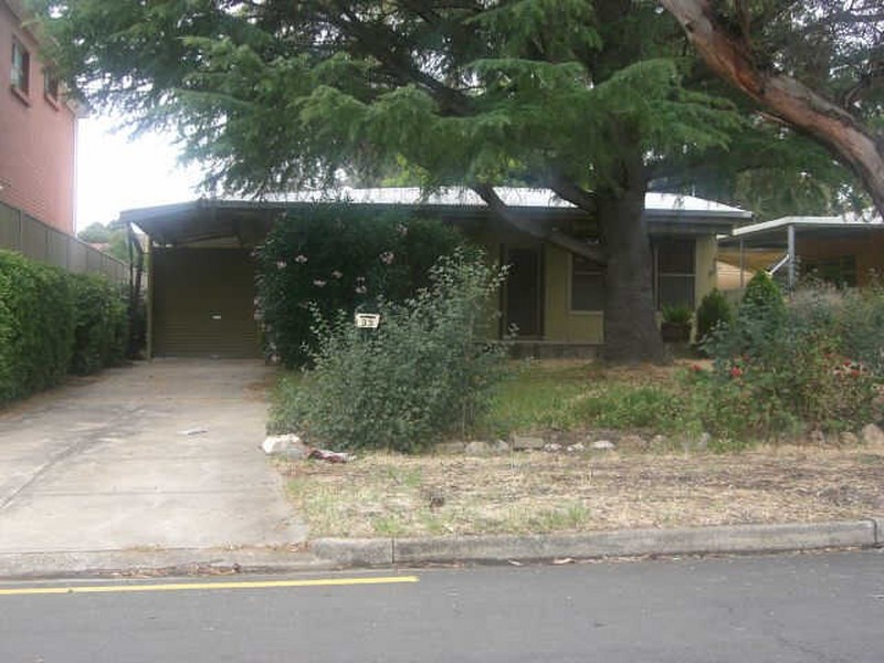 33 Windsor Street, Magill SA 5072