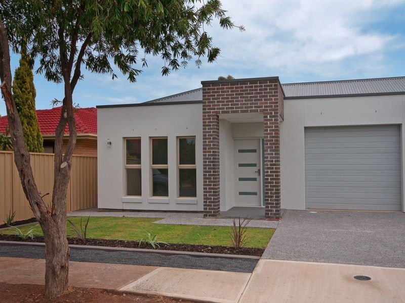 16 Midera Avenue, Edwardstown SA 5039