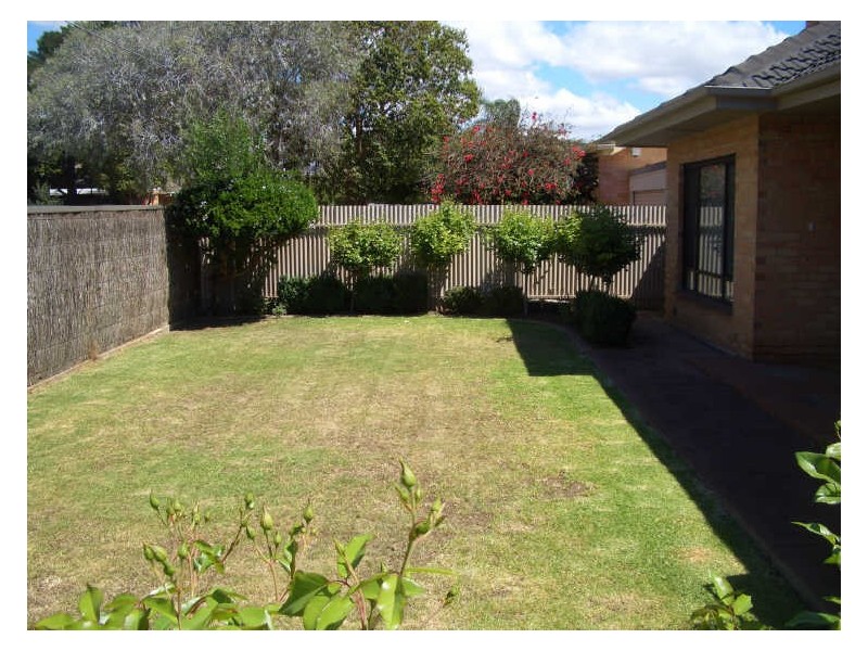 6 Alan Avenue, Campbelltown SA 5074