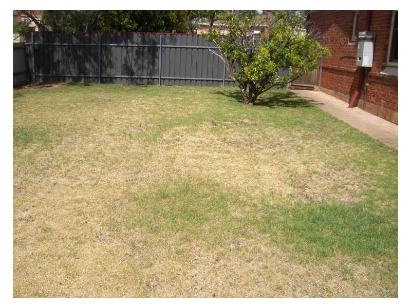 55 Aveland Avenue, Trinity Gardens SA 5068