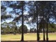 54 Illyarrie Avenue, Surrey Downs SA 5126