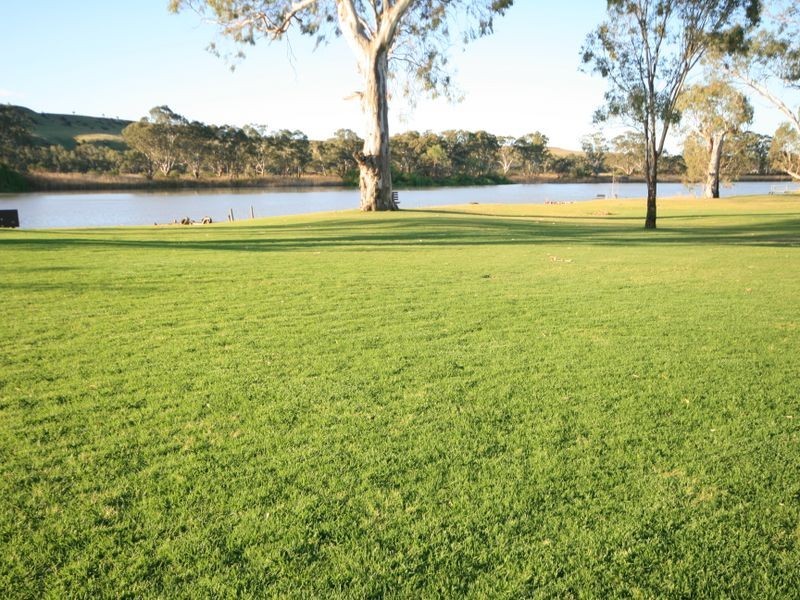 55 Schmidt Lane, Bowhill SA 5238