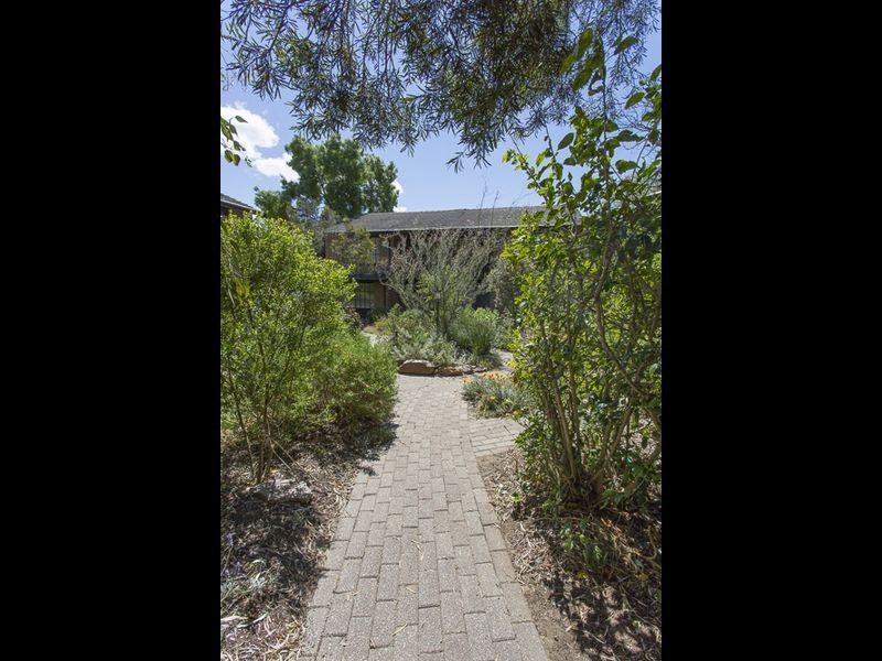 1/6 Vailima Court, Hackney SA 5069