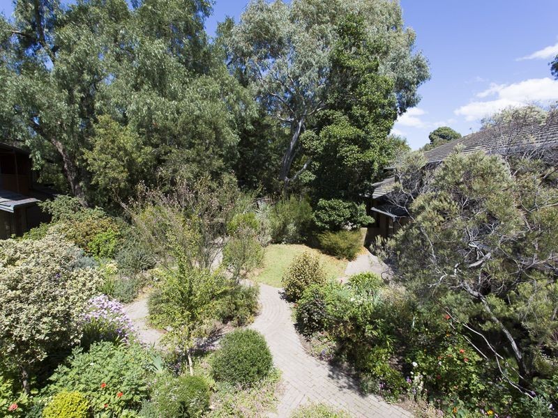 1/6 Vailima Court, Hackney SA 5069