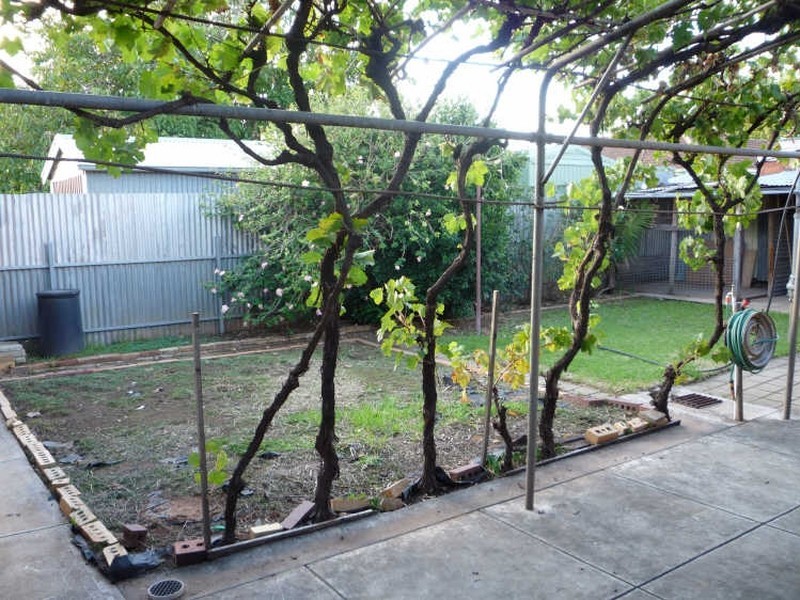 19 Gothic Drive, Paradise SA 5075