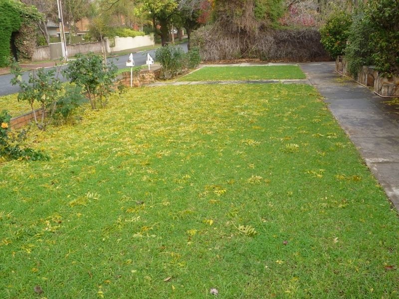 21 Galway Grove, Tranmere SA 5073