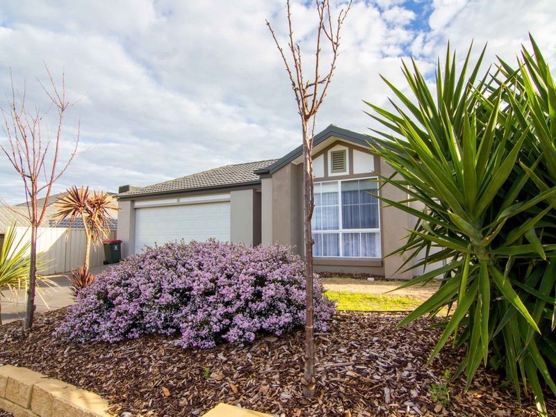 5 Auldstone Place, Huntfield Heights SA 5163