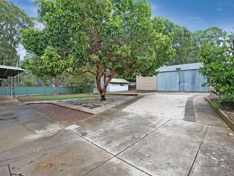 49 Tennyson Avenue, Tranmere SA 5073