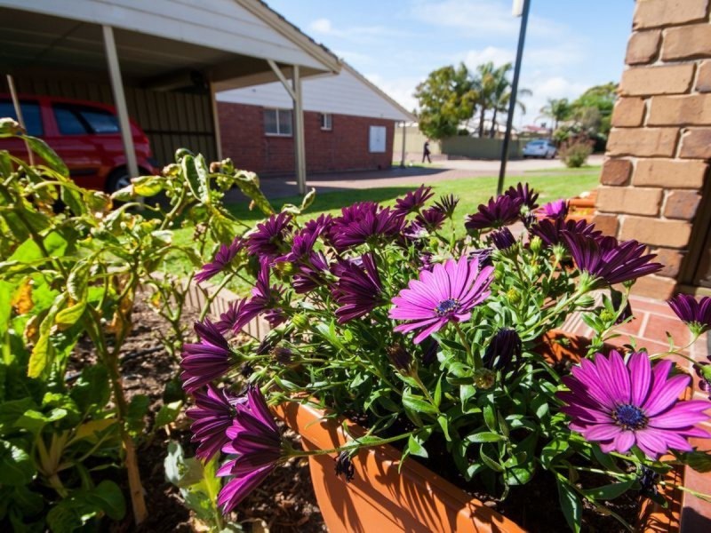 17/2 Woodcock Place, Morphett Vale SA 5162