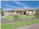 20a Andrea Avenue, Newton SA 5074