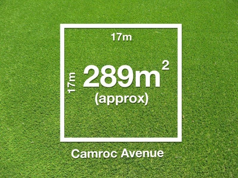 Camroc Avenue, Tranmere SA 5073