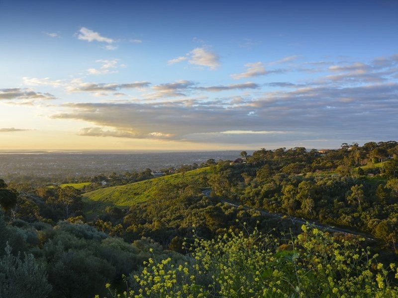 51 Woodland Way, Teringie SA 5072