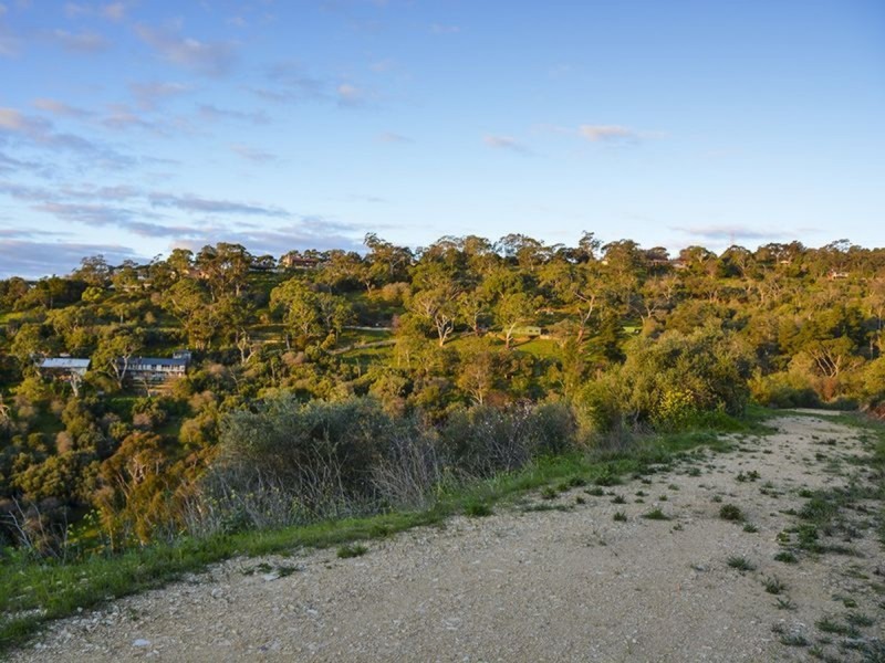 51 Woodland Way, Teringie SA 5072