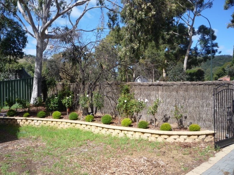 4 Cross Road, Myrtle Bank SA 5064